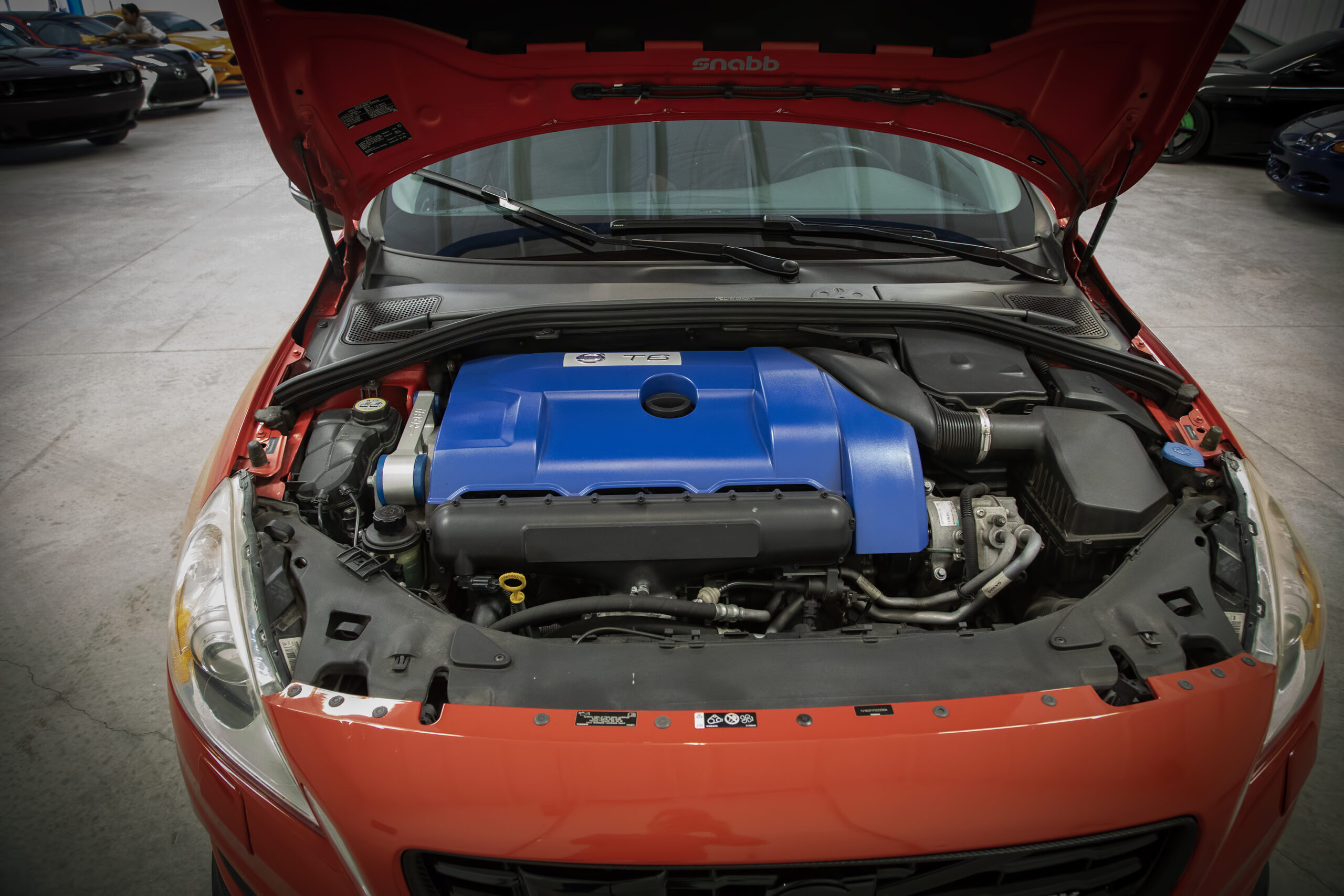 0v8a6950 copy